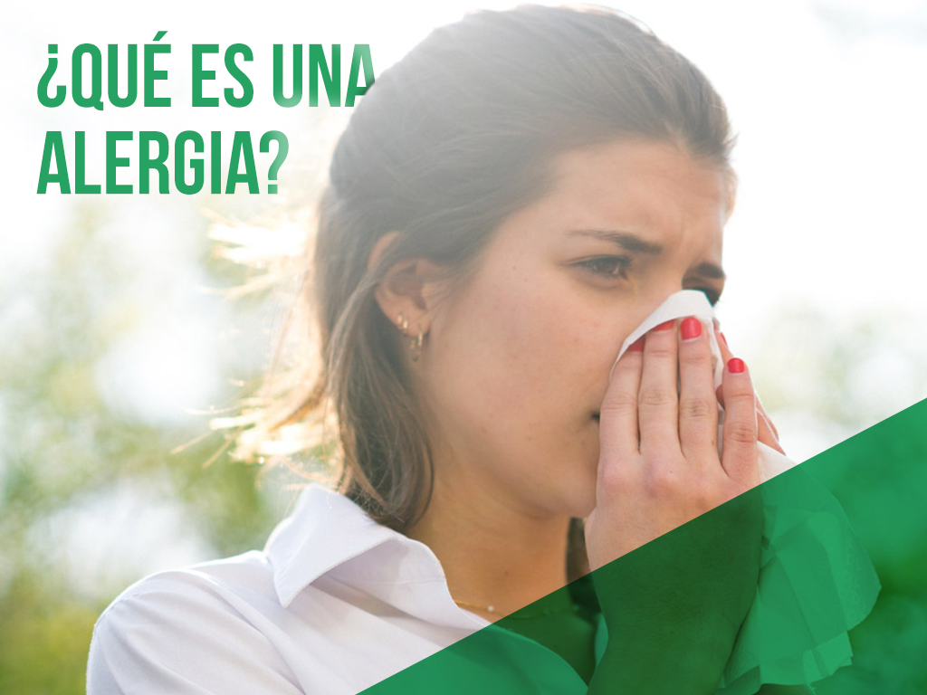 Todo lo que tienes que saber sobre las alergias