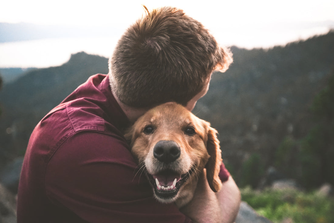¿Tienes alergia a tu mascota? Descúbrelo aquí