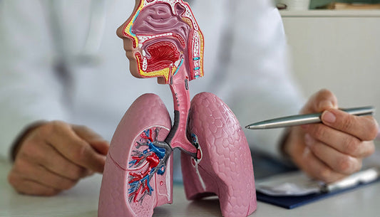 ¿Cuál es la diferencia entre resfriado y neumonía?