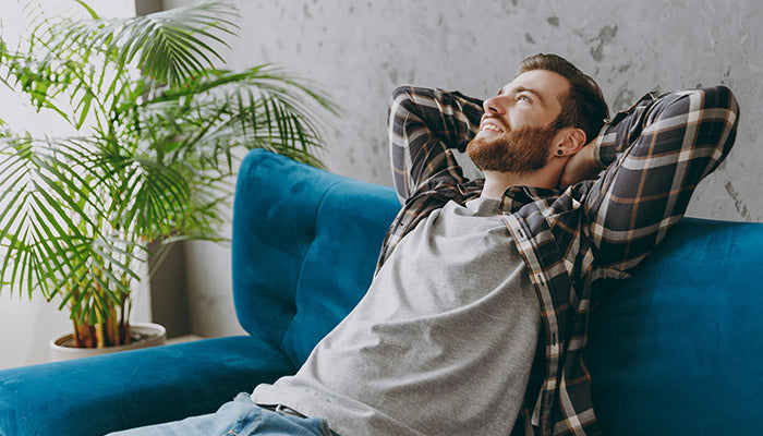 Consejos para mantener el aire puro en casa durante todo 2025