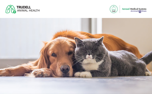Síndrome de dificultad respiratoria aguda en perros y gatos