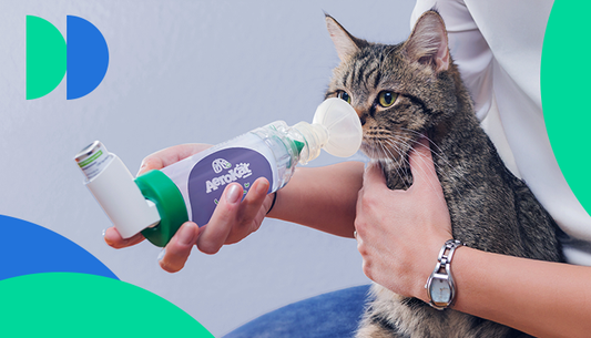 MEDICAMENTOS INHALADOS PARA PERROS Y GATOS