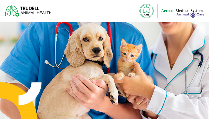 ¿Cuándo usar esteroides sistémicos y cuando inhalados?