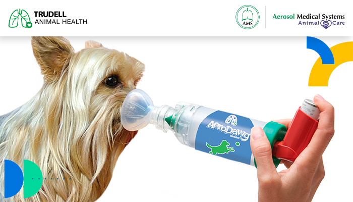 Ventajas de la terapia inhalada para animales