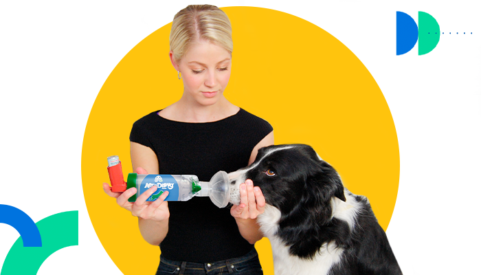 ¿Esteroides sistémicos o inhalados?