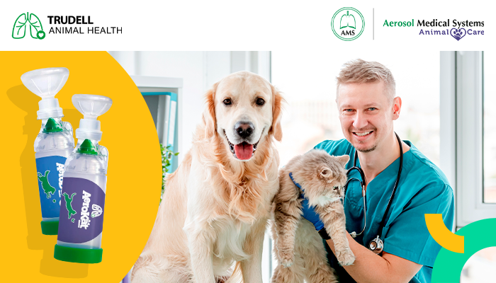 Así funcionan AeroKat* y AeroDawg*