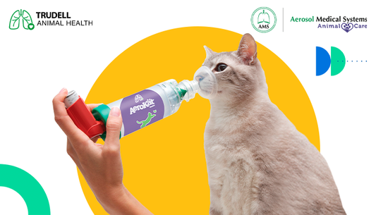 ¿Qué es la terapia inhalada animal?