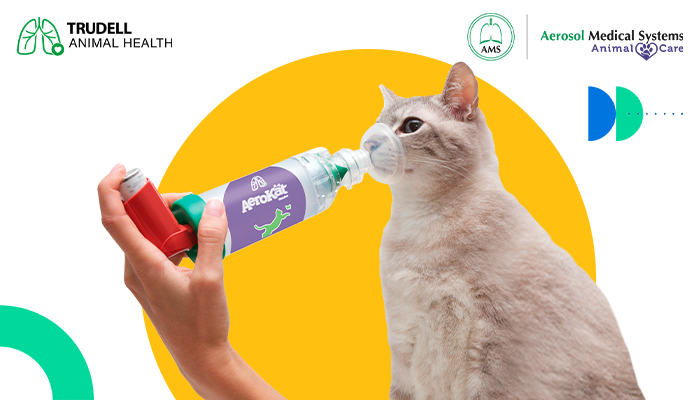 ¿Qué es la terapia inhalada animal? – Aerosol Medical Systems