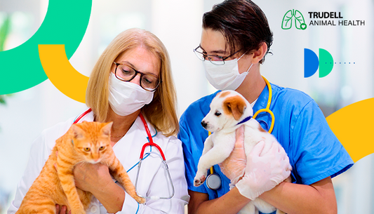 Datos curiosos para celebrar el Día Mundial del Veterinario