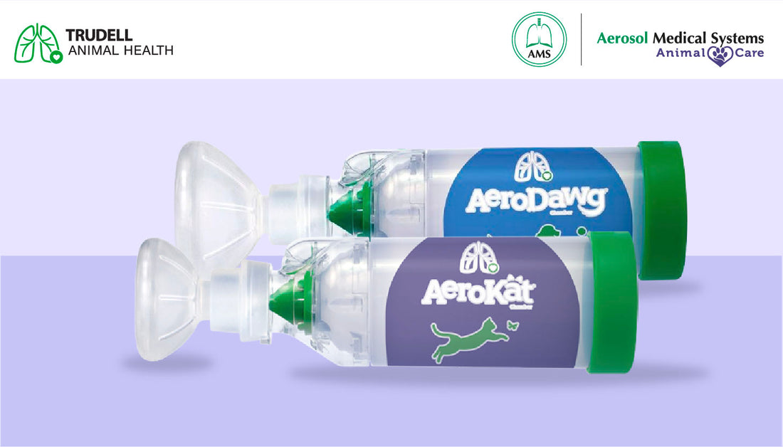 ¿CÓMO AYUDA TRUDELL A LAS MASCOTAS?