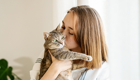 Broncodilatadores para gatos