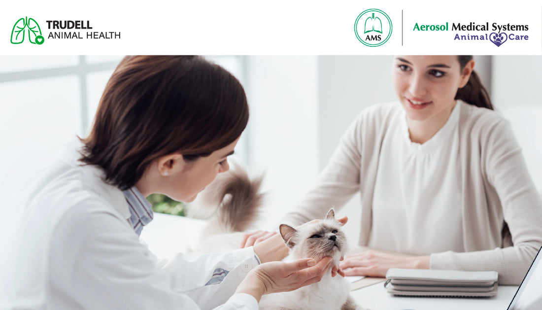 Antes de llevar a tu mascota al veterinario…